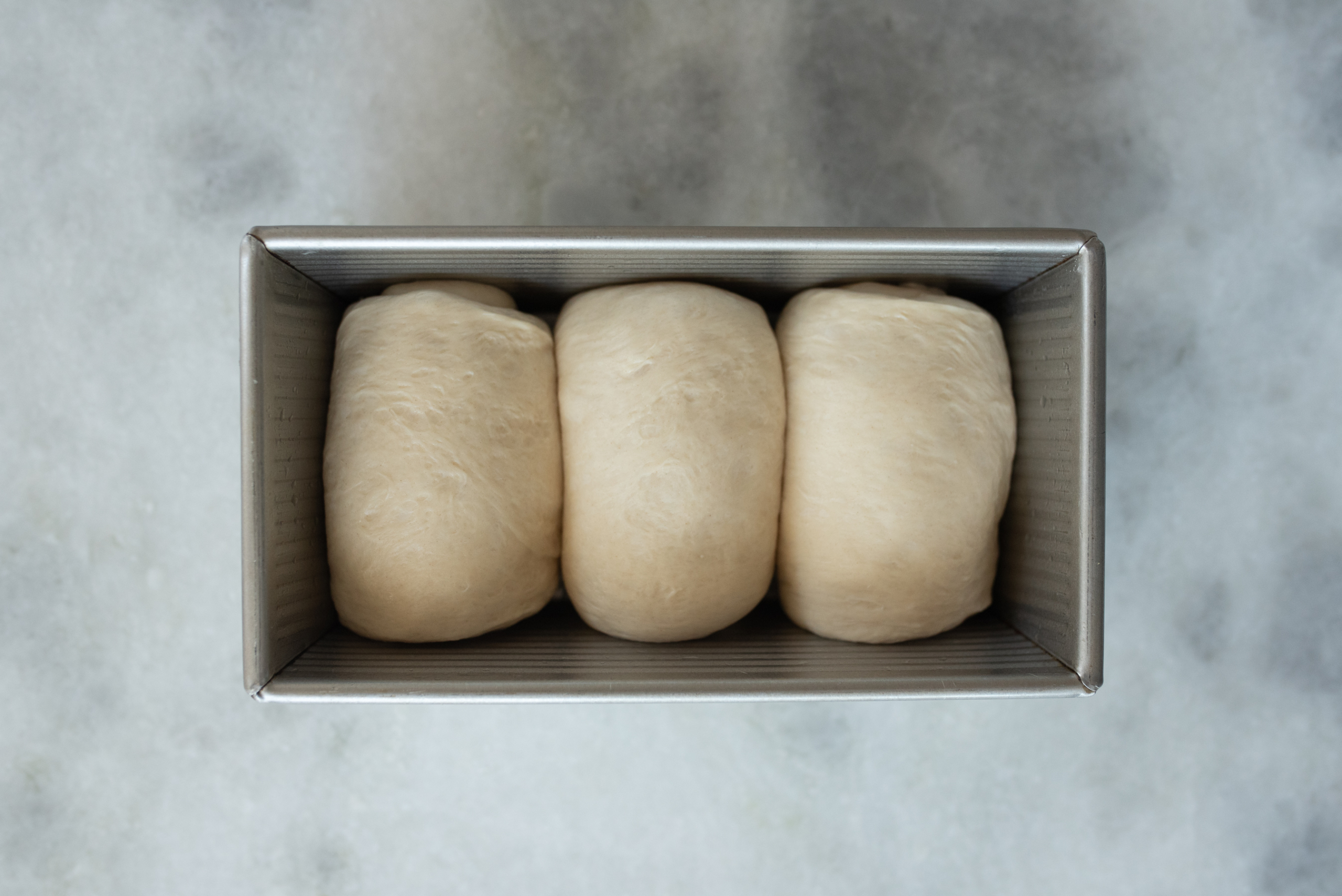 overhead shot of sourdough discard sandwich bread dough arranged in a bread pan