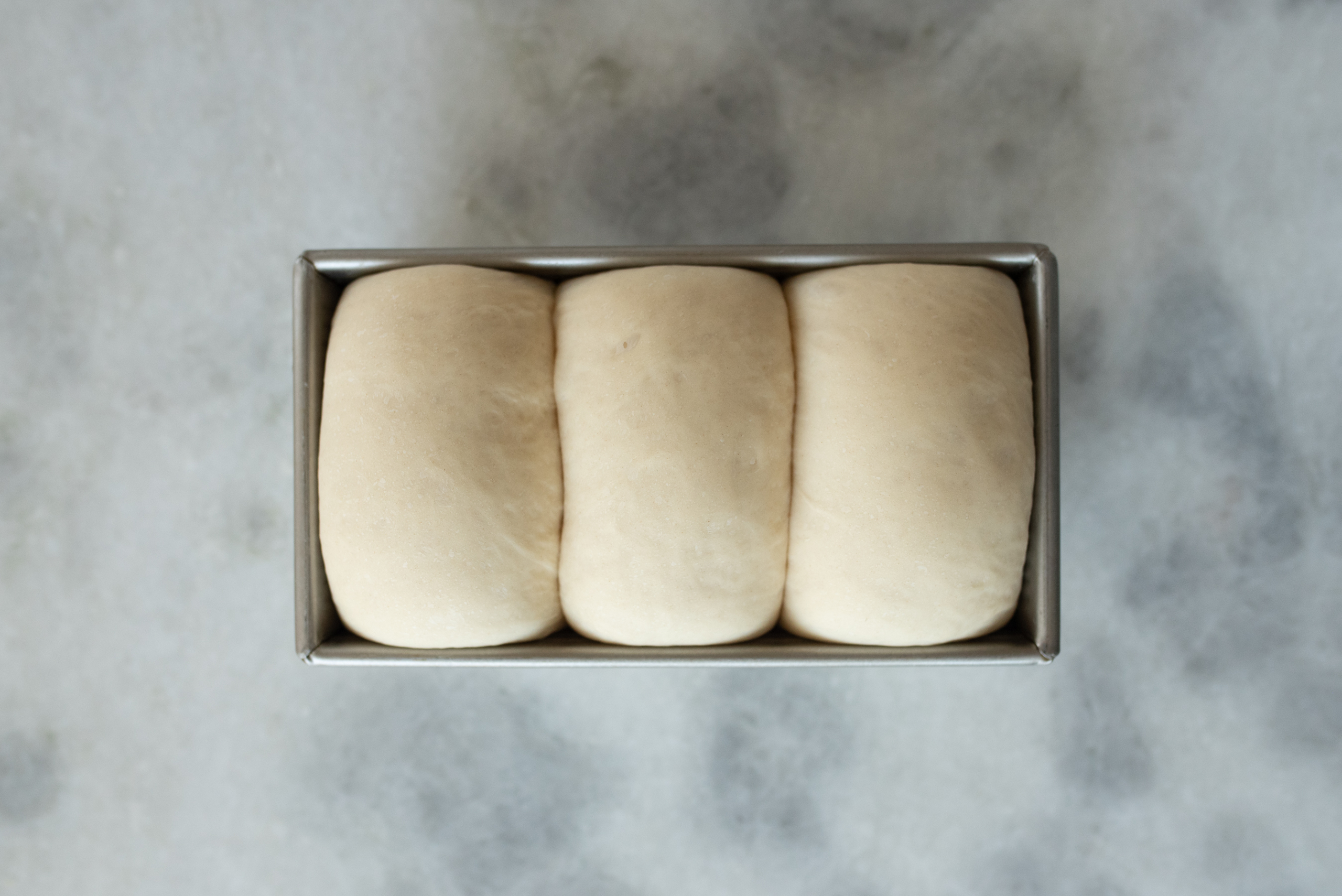 overhead shot of sourdough discard sandwich bread dough proofing in a pan