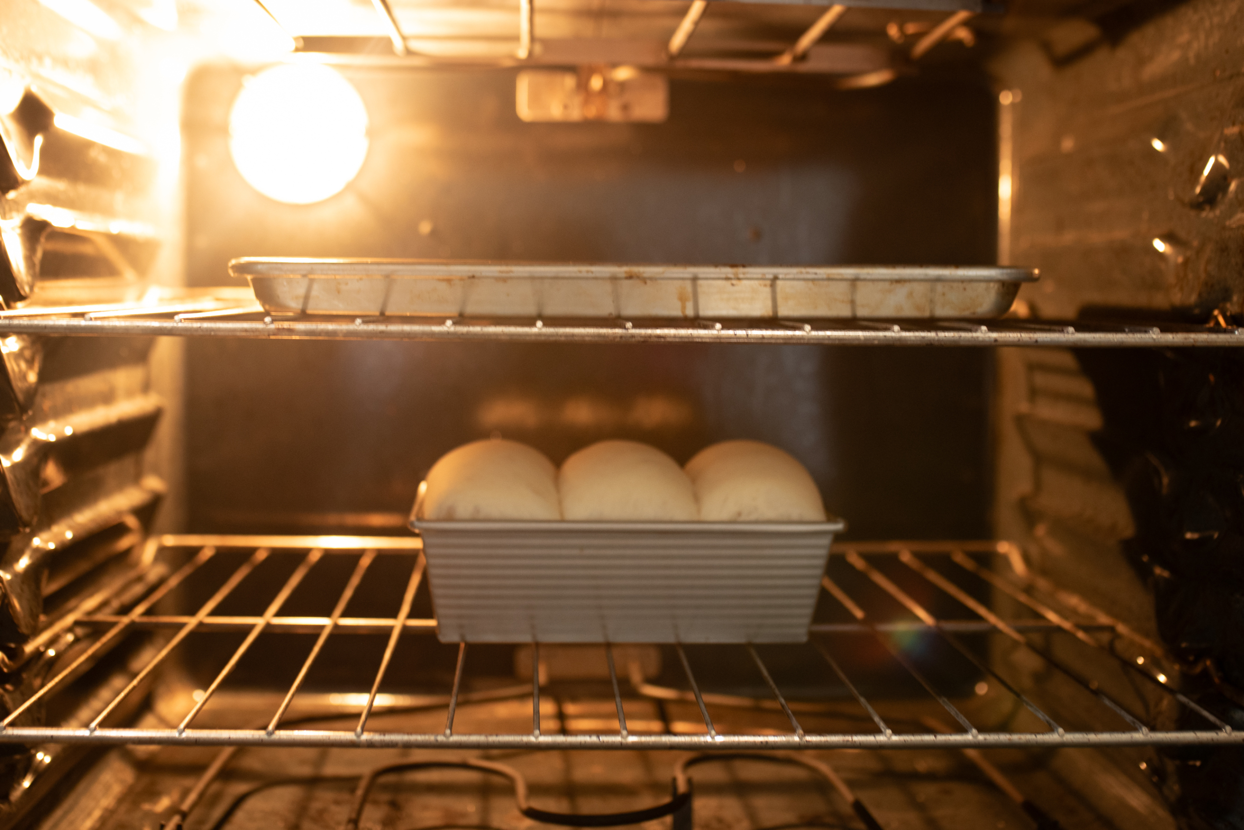 sourdough discard sandwich bread baking in the oven